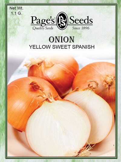 Onion Yellow Sweet Spanish