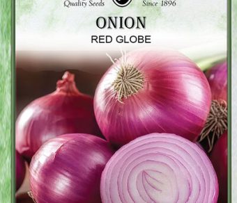 Onion Red Globe