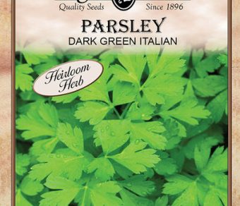 Parsley Dark Green Italian