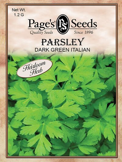 Parsley Dark Green Italian