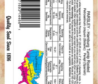 Hamburg Turnip Rooted