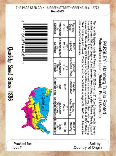 Hamburg Turnip Rooted