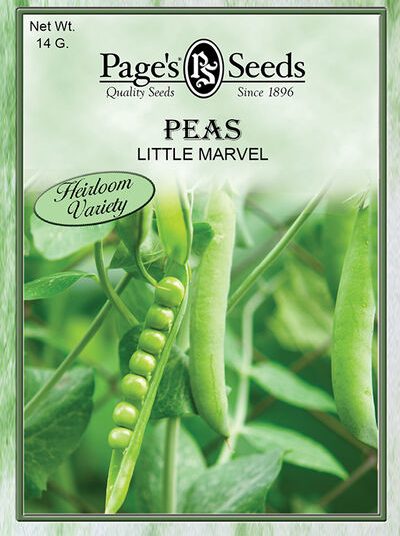 Pea Little Marvel