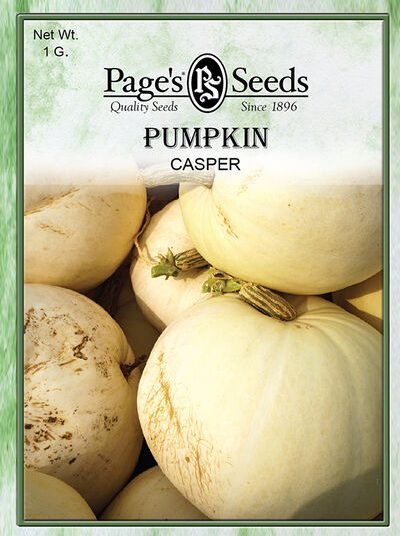 Pumpkin Casper