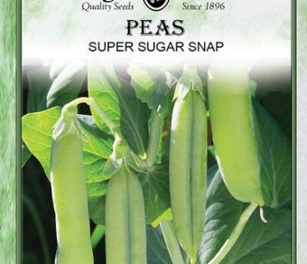 Pea Super Sugar Snap