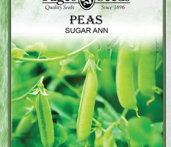 Pea Sugar Ann (Snap)