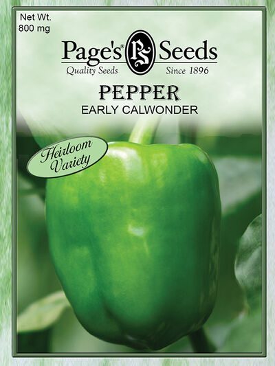 Pepper Early Calwonder