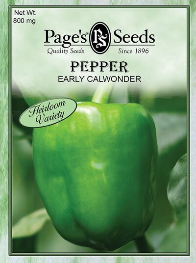 Pepper Early Calwonder