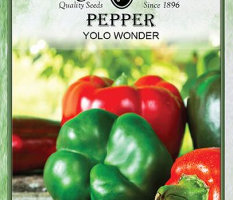 Pepper Yolo Wonder