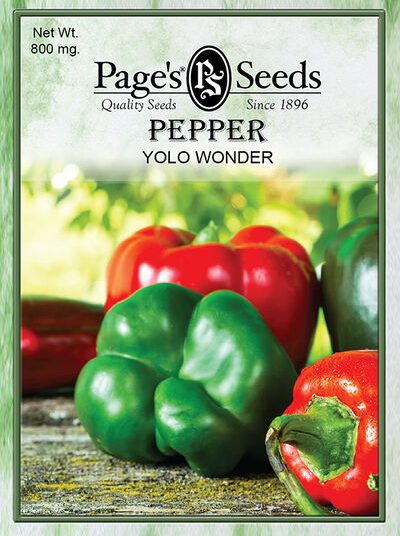 Pepper Yolo Wonder