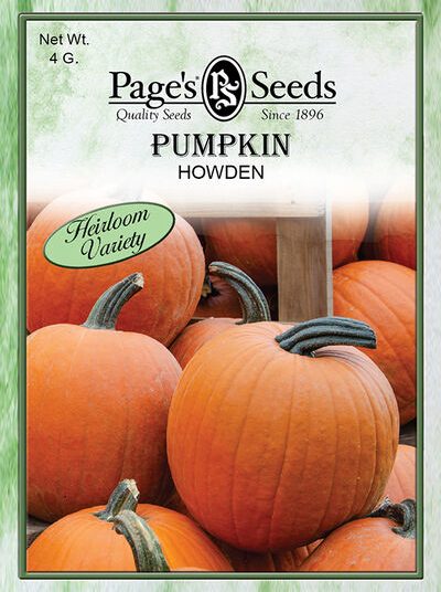 Pumpkin Howden