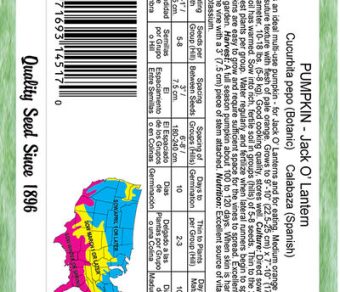 Pumpkin Jack O' Lantern