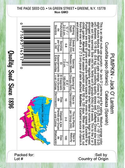 Pumpkin Jack O' Lantern