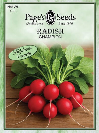 Radish Champion