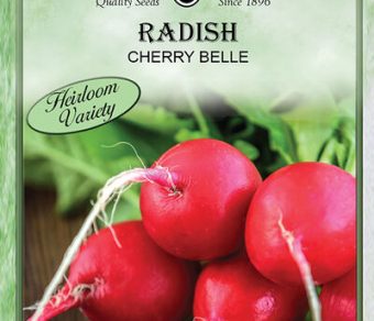 Radish Cherry Belle