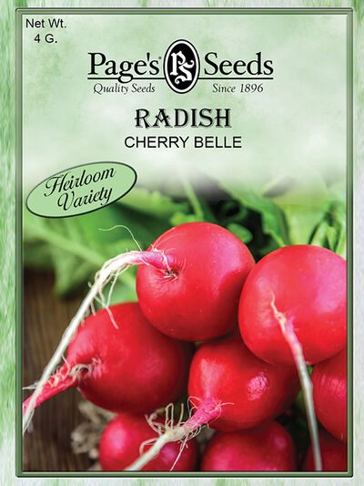 Radish Cherry Belle