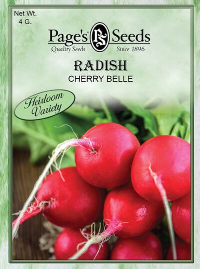 Radish Cherry Belle