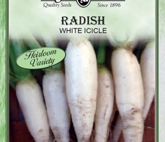Radish White Icicle