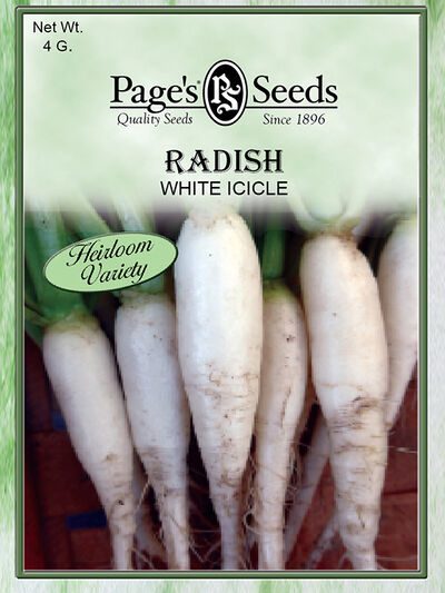 Radish White Icicle