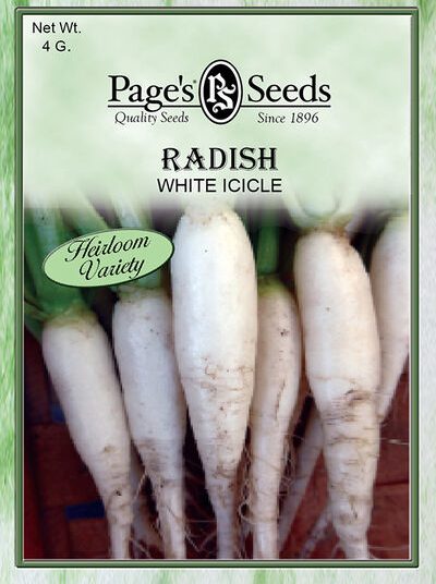 Radish White Icicle