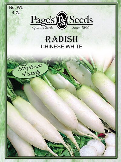 Radish Chinese White