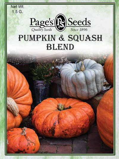 Pumpkin & Squash Blend