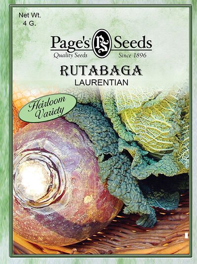 Rutabaga laurentian