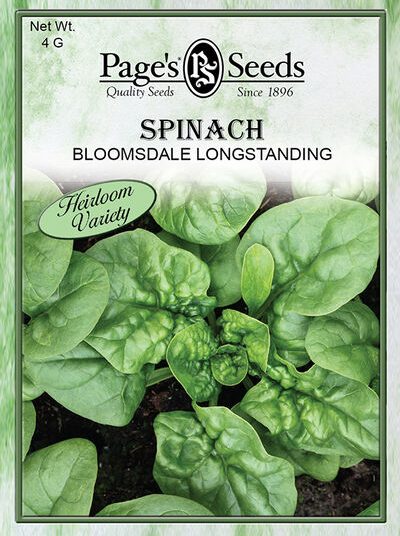 Spinach Bloomsdale Longstanding