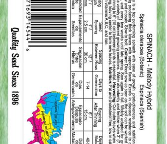 Spinach Melody Hybrid