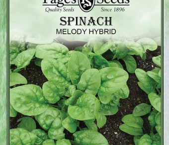 Spinach Melody Hybrid