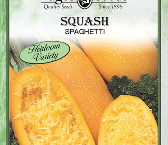 Squash Spaghetti