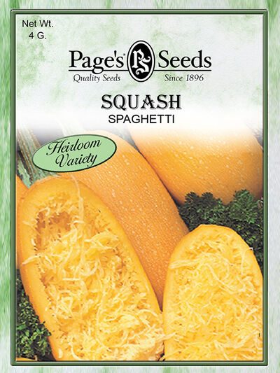 Squash Spaghetti