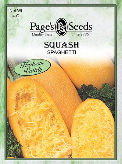 Squash Spaghetti