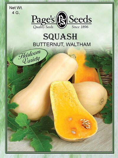 Squash Butternut Waltham