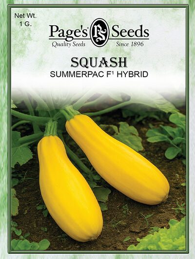 Squash Summerpac F1 Hybrid