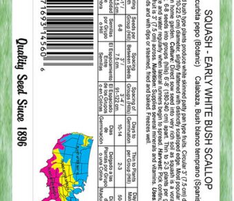 Squash Early White Bush Scallop