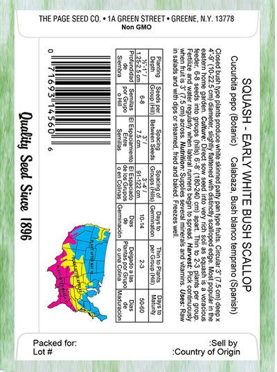 Squash Early White Bush Scallop