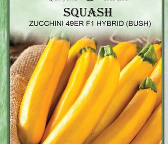 Squash-Zucchini 49Er F1 Hybrid