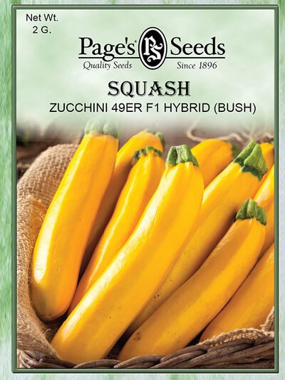 Squash-Zucchini 49Er F1 Hybrid