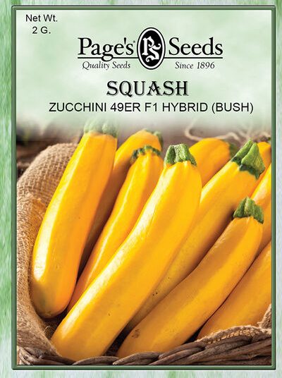 Squash-Zucchini 49Er F1 Hybrid