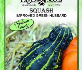 Squash Improved Green Hubbard