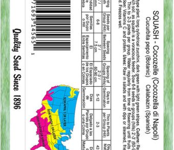 Squash Long Bush Cocozelle