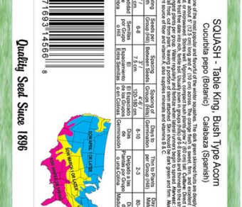Squash Table King Acorn Bush