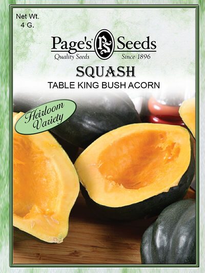 Squash Table King Acorn Bush