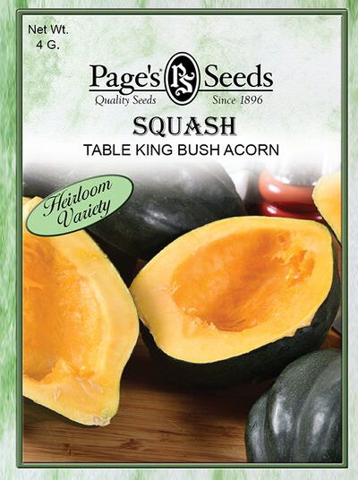 Squash Table King Acorn Bush