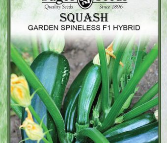 Squash Garden Spineless F1 Hybrid