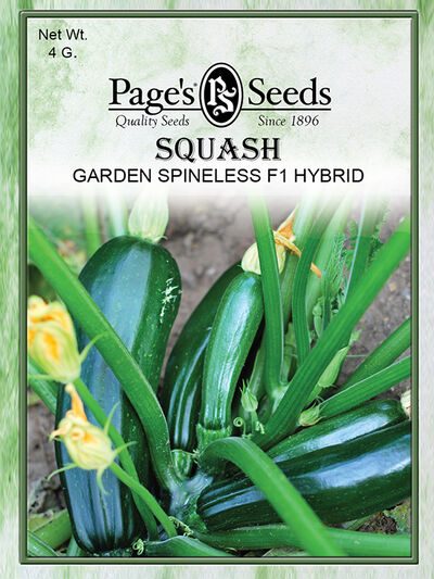 Squash Garden Spineless F1 Hybrid
