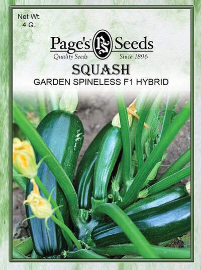 Squash Garden Spineless F1 Hybrid
