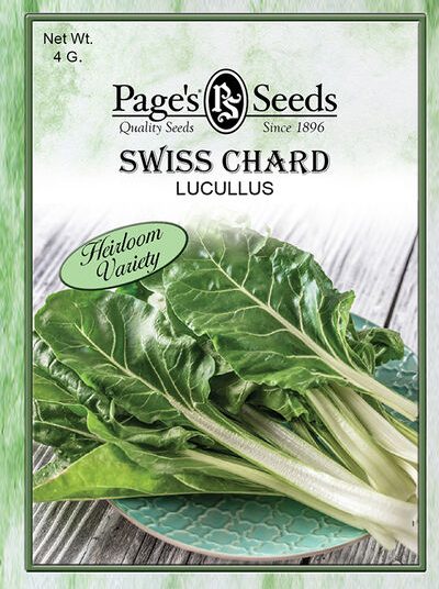 Swiss Chard Lucullus