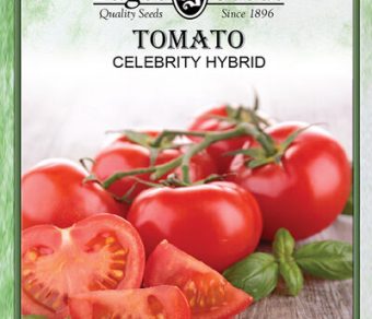 Tomato Celebrity Hybrid